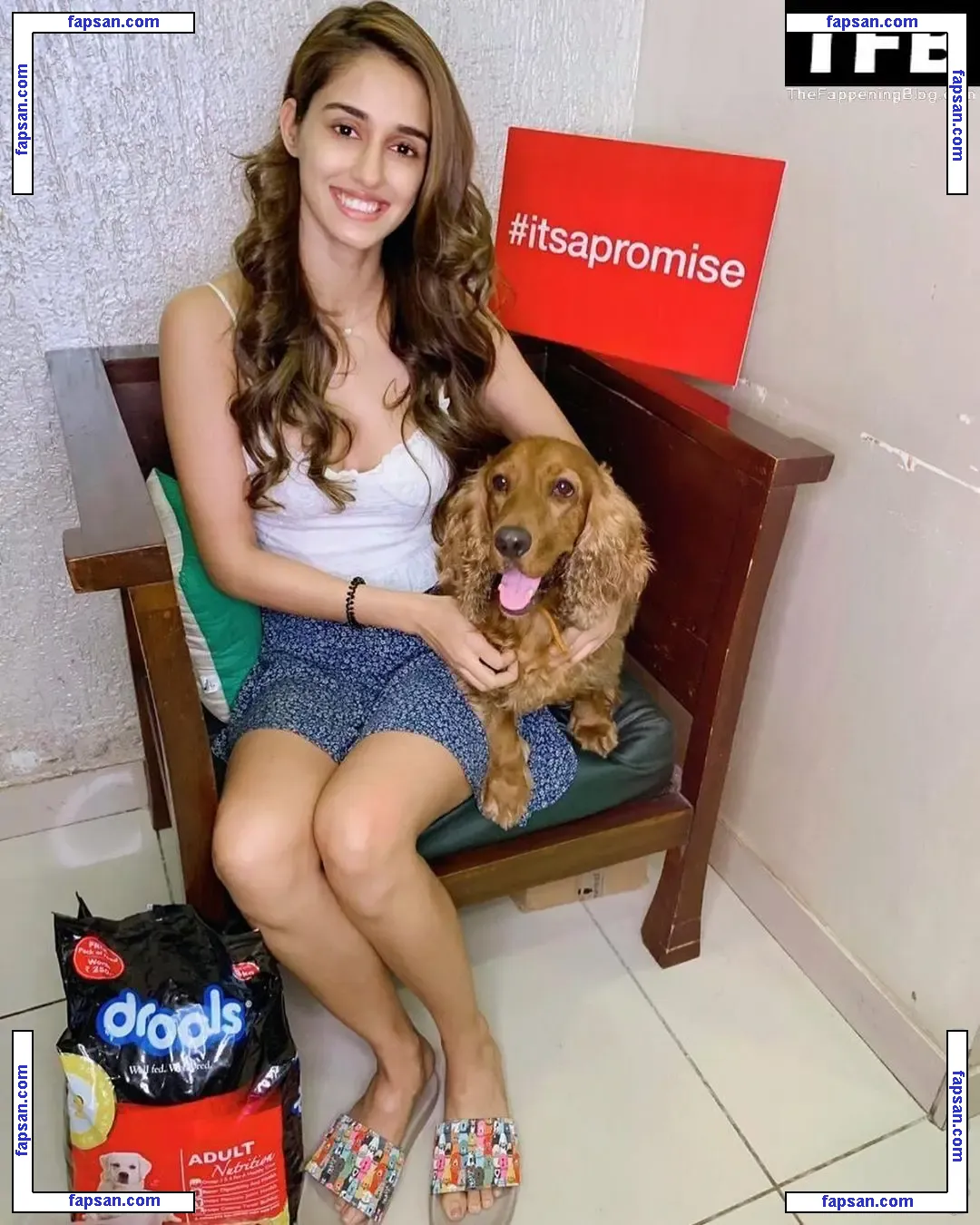 Disha Patani nude photo #0027 from OnlyFans