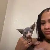 Distortedd голая #0017