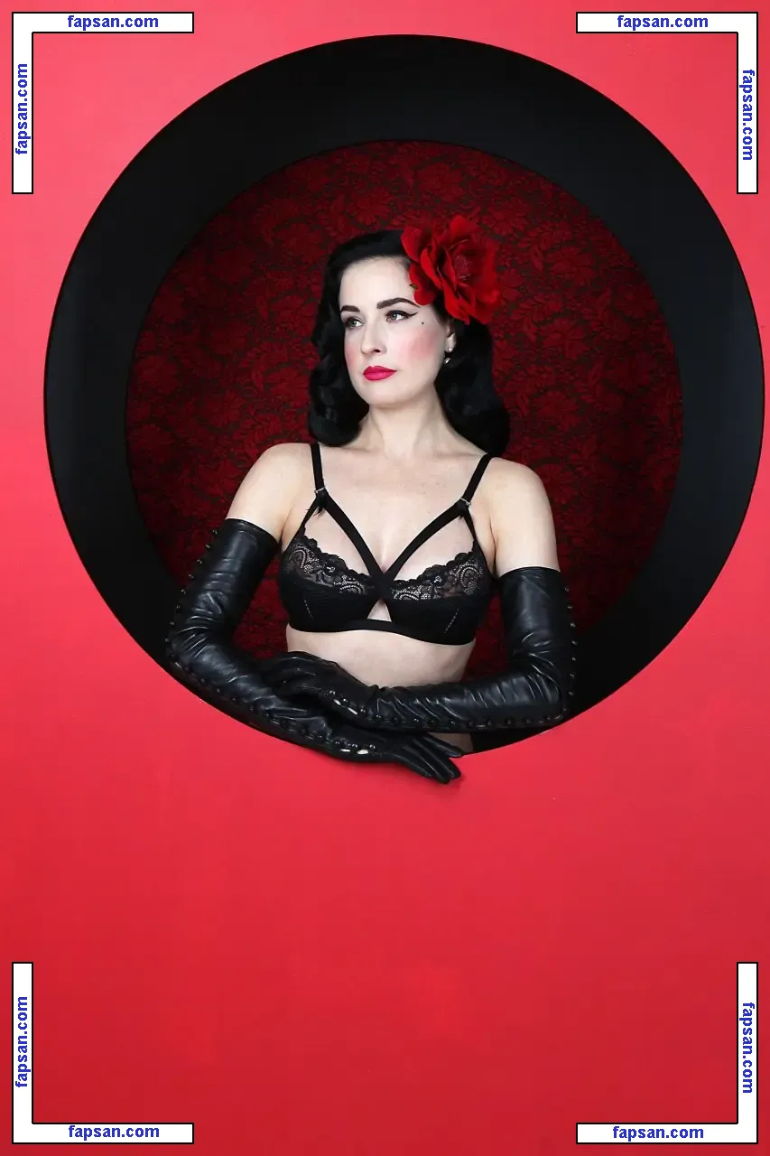Dita Von Teese голая фото #0272 с Онлифанс