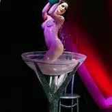 Dita Von Teese nude #0607