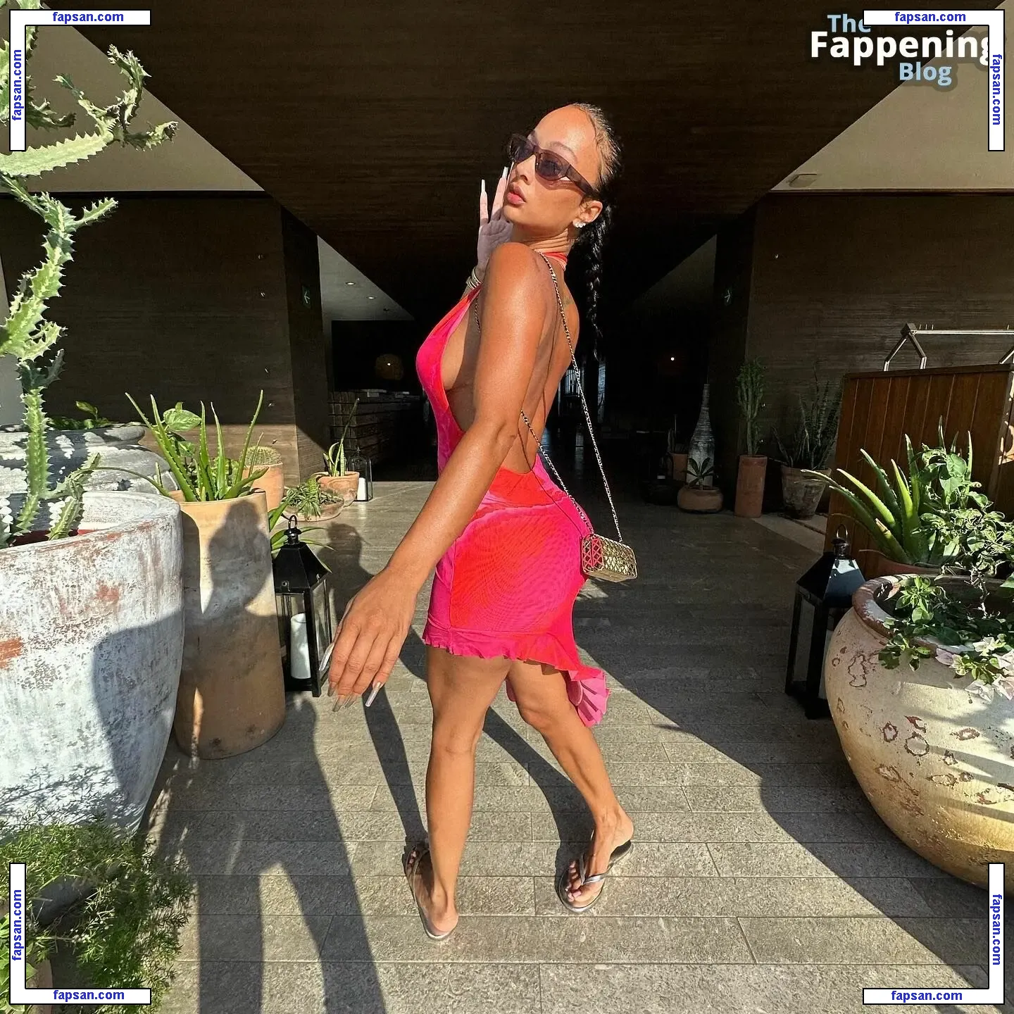 Draya Michele nude photo #2114 from OnlyFans