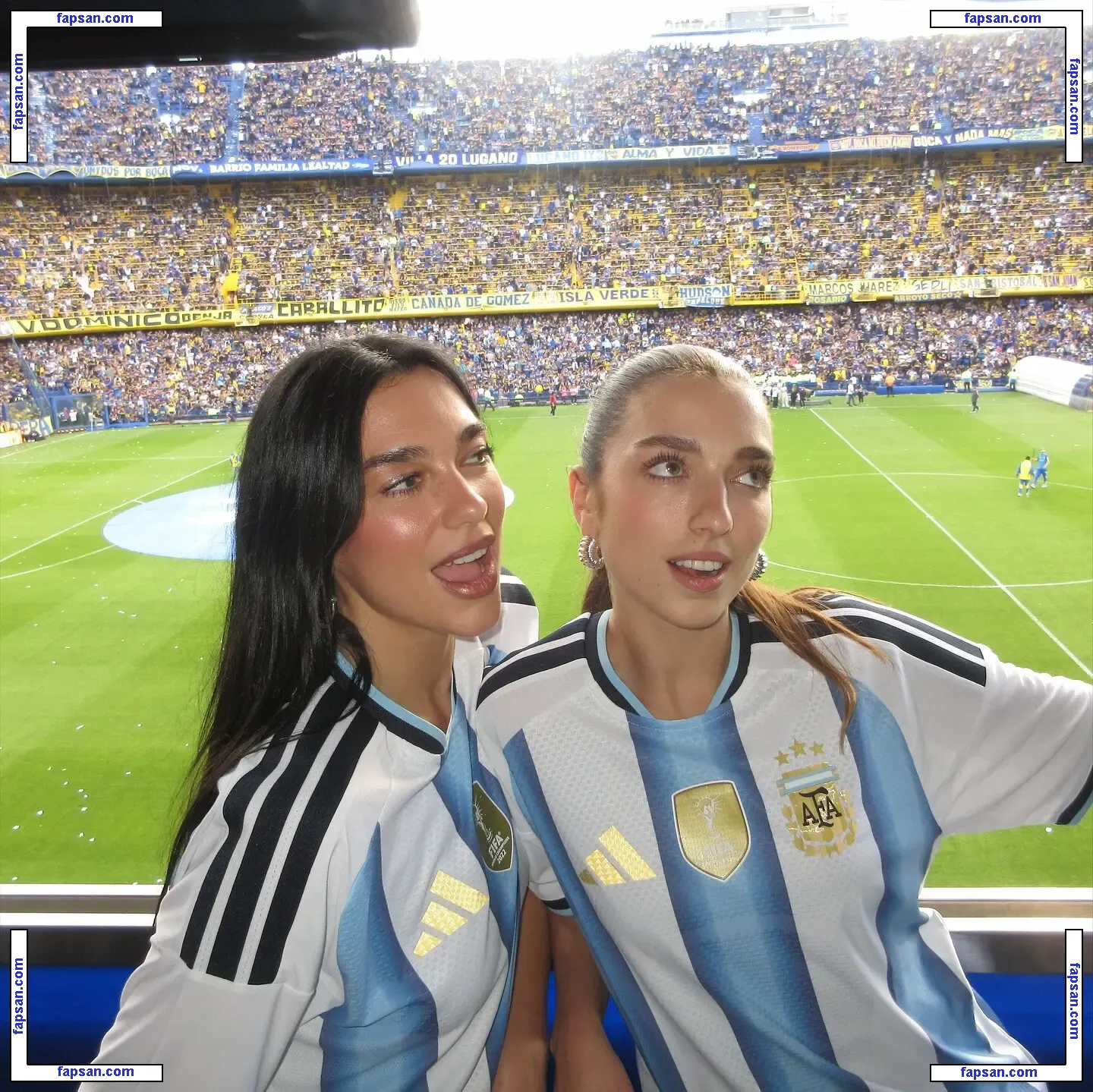 Dua Lipa голая фото #9623 с Онлифанс