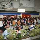 Dua Lipa голая #9671