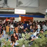 Dua Lipa голая #9686