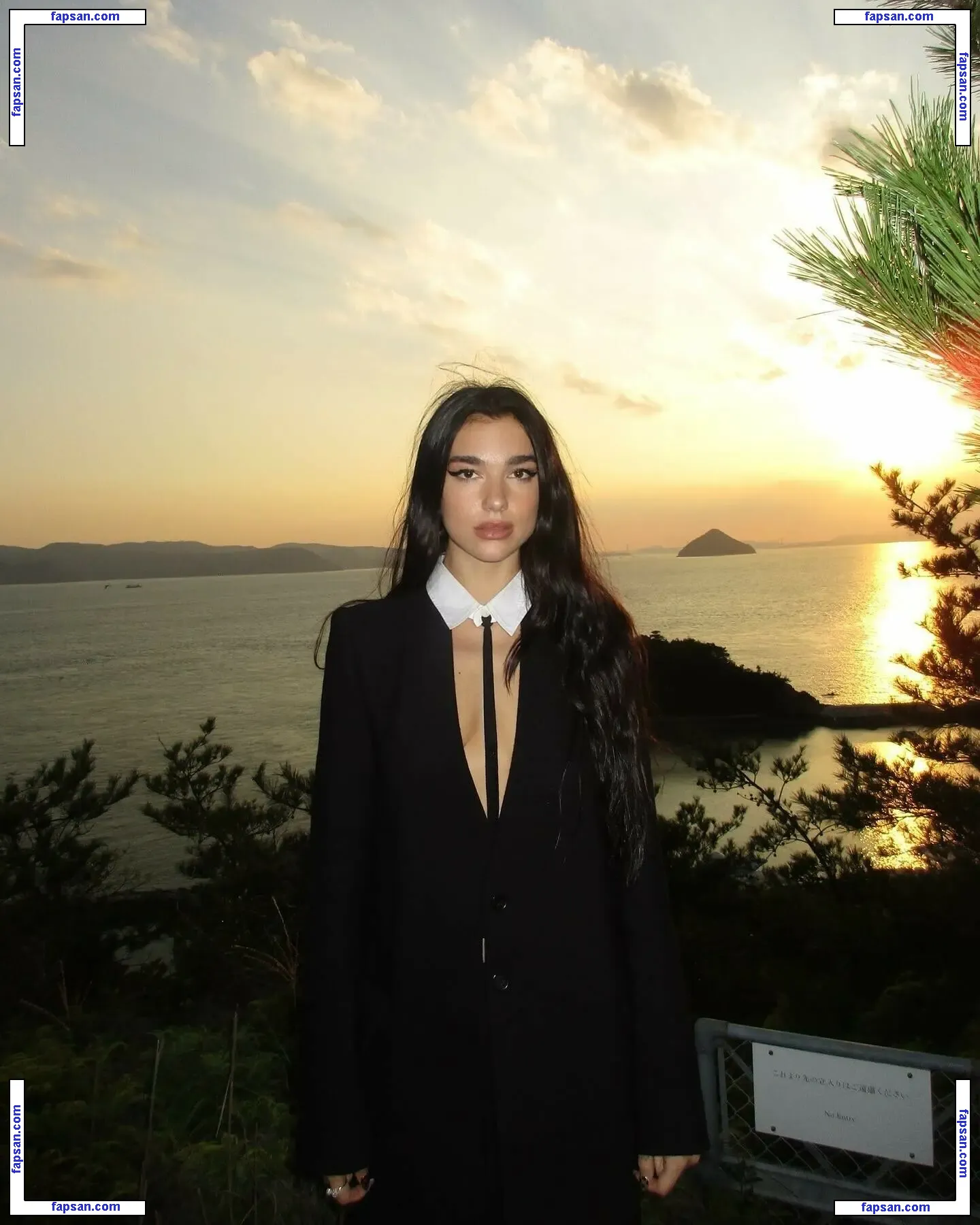 Dua Lipa nude photo #5589 from OnlyFans