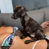 Dua Lipa nude #5479