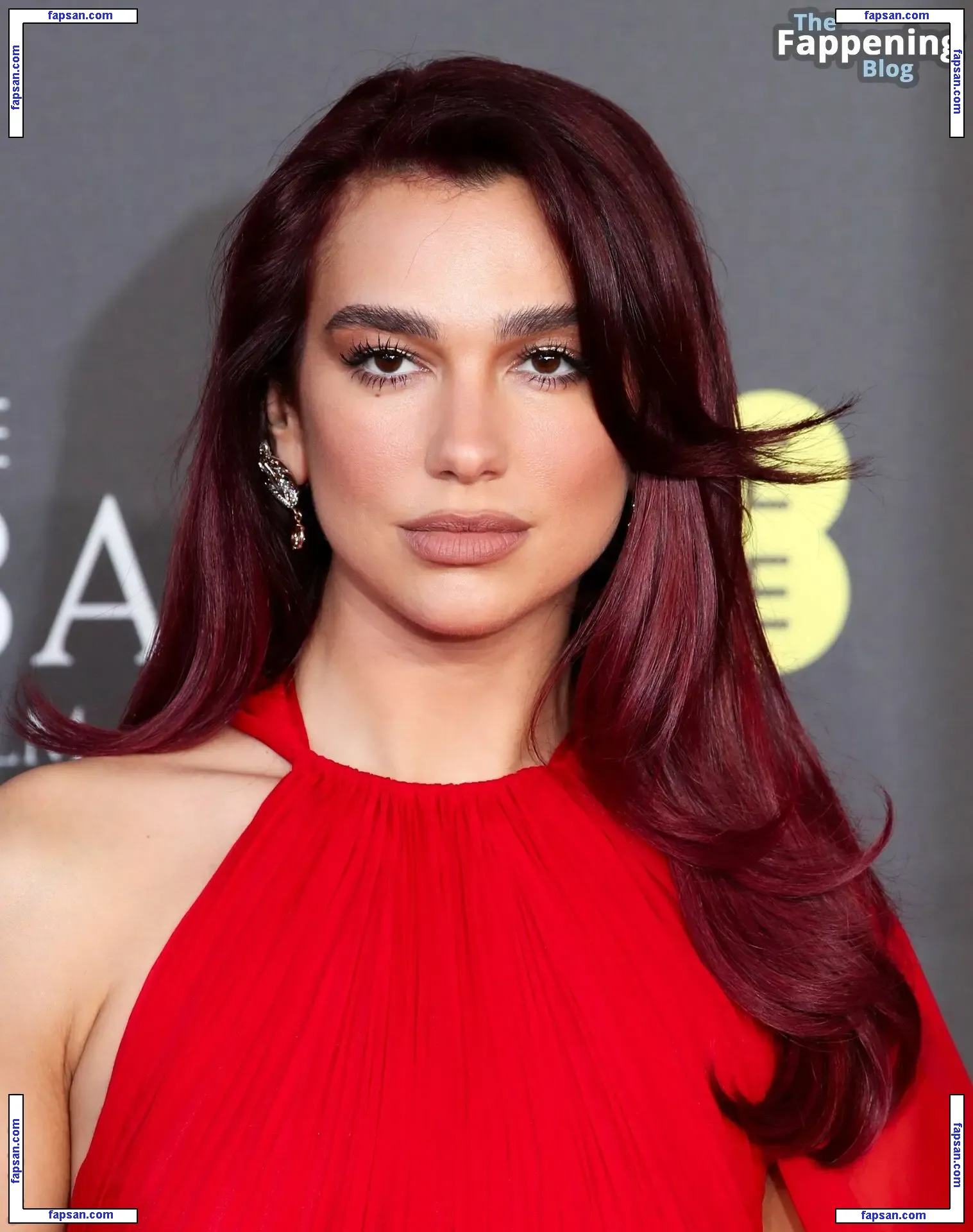 Dua Lipa nude photo #7861 from OnlyFans