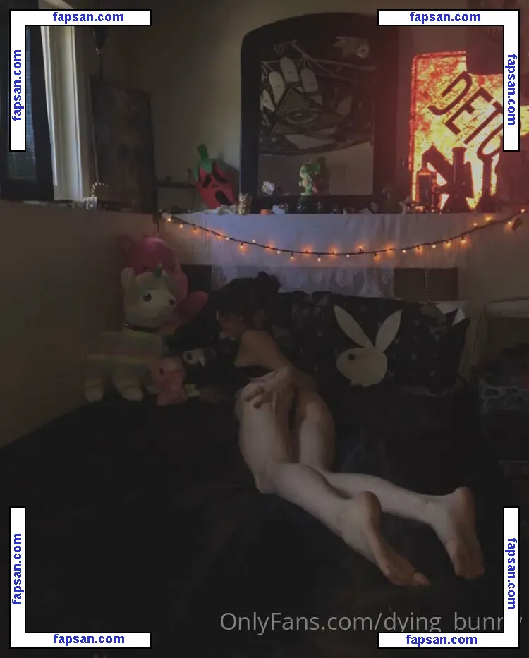 Dying_bunny nude photo #0024 from OnlyFans
