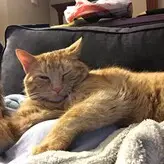 Edith Rayas голая #0005