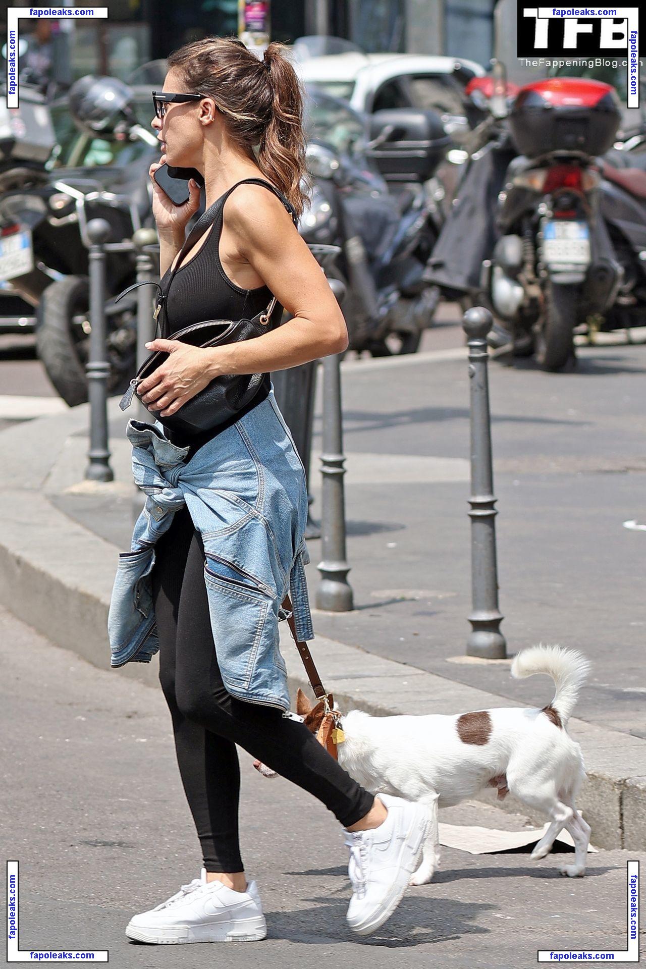 Elisabetta Canalis / littlecrumb_ голая фото #0604 с Онлифанс