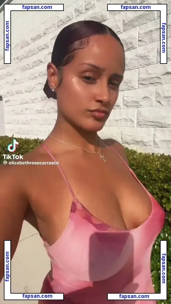 elizabethrosecarrasco голая фото #0002 с Онлифанс