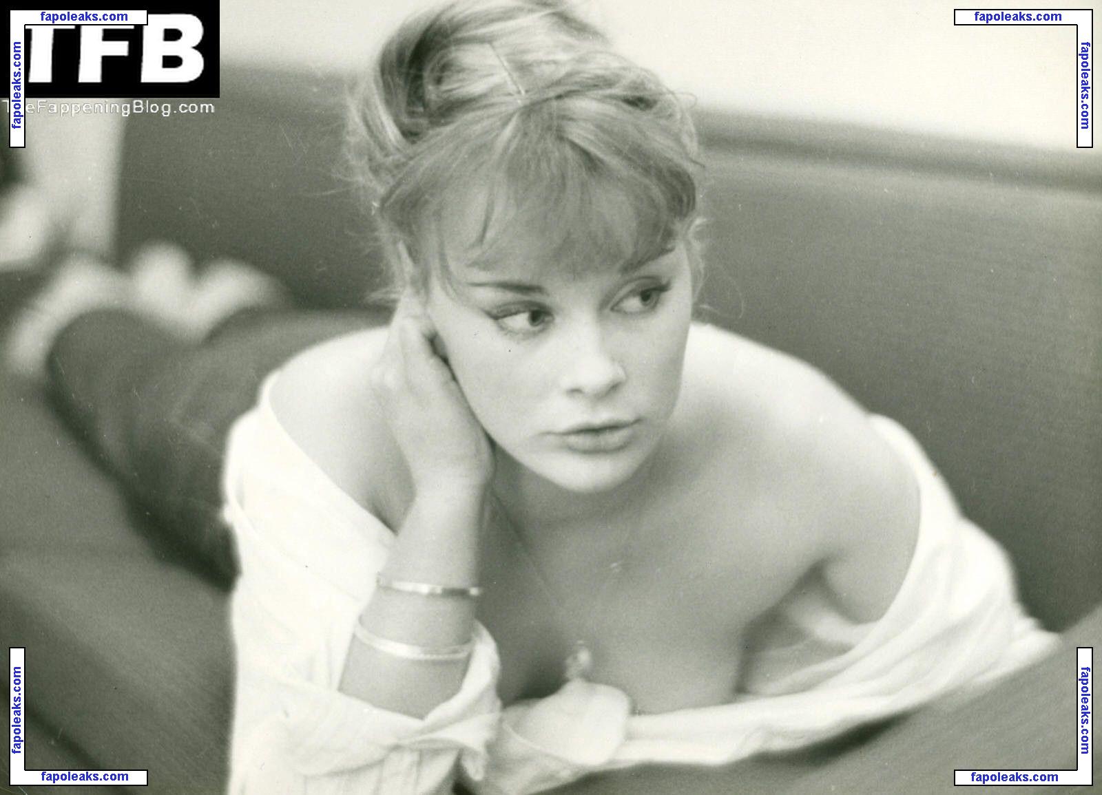 Elke Sommer / elkesommerspecial nude photo #0087 from OnlyFans