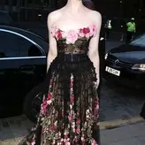 Elle Fanning голая #0484