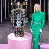 Elle Fanning голая #1163