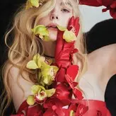 Elle Fanning голая #1918