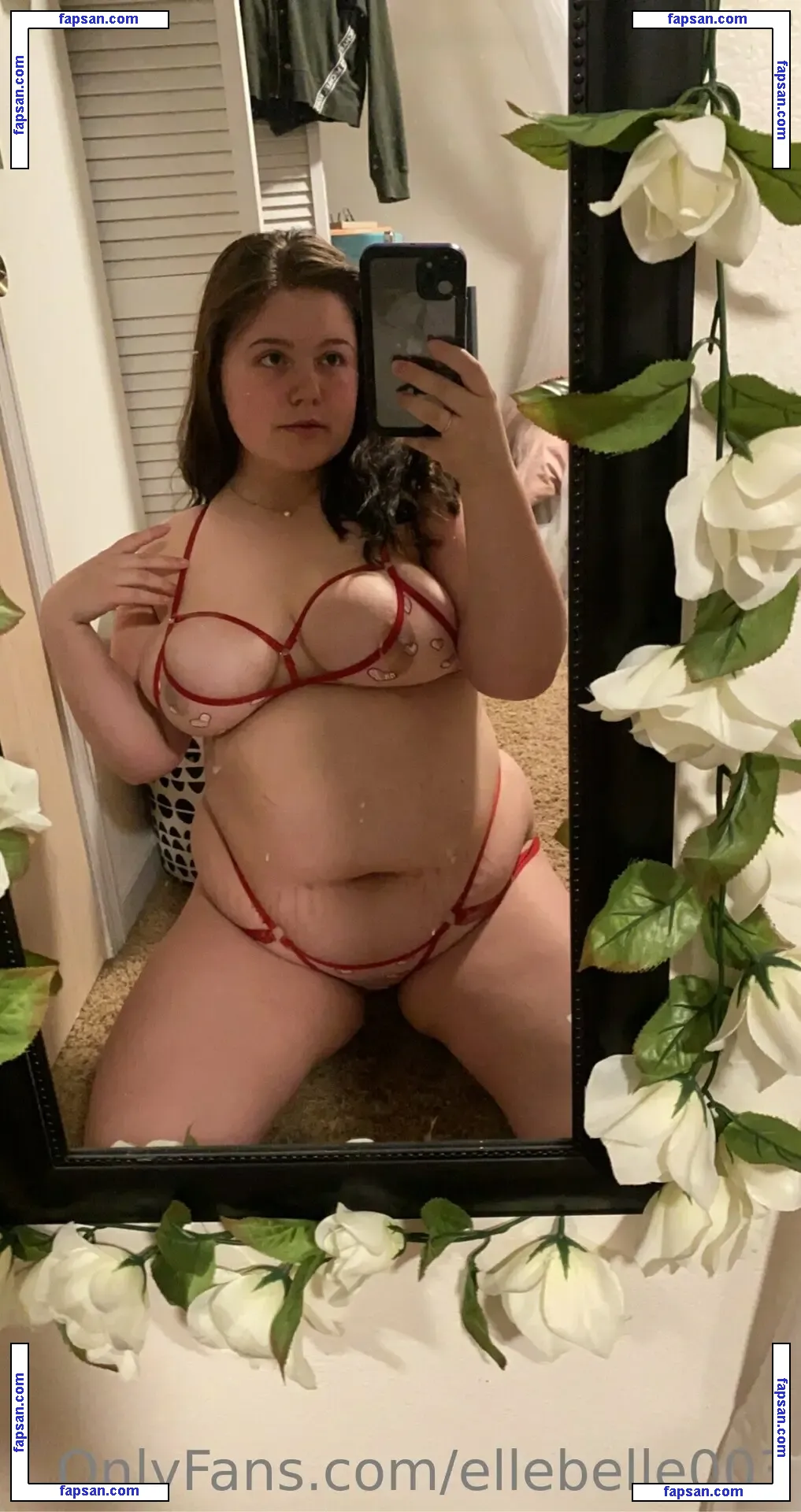 ellebelle003 nude photo #0024 from OnlyFans