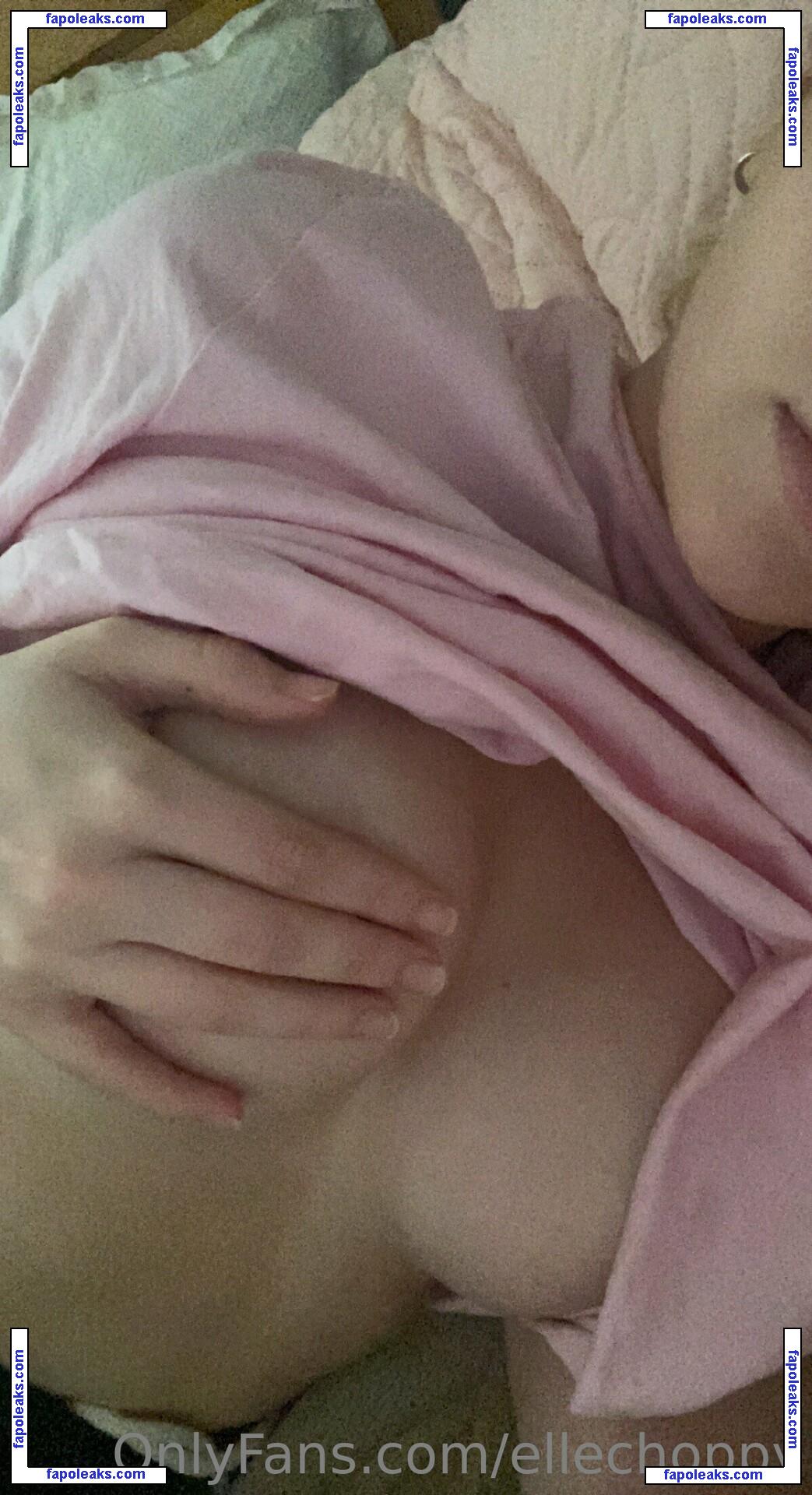 ellechoppy nude photo #0122 from OnlyFans