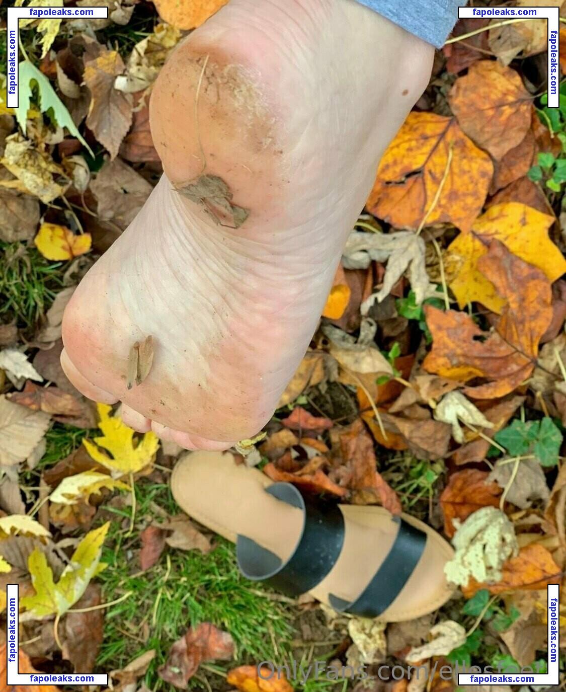 ellesfeet8 nude photo #0001 from OnlyFans