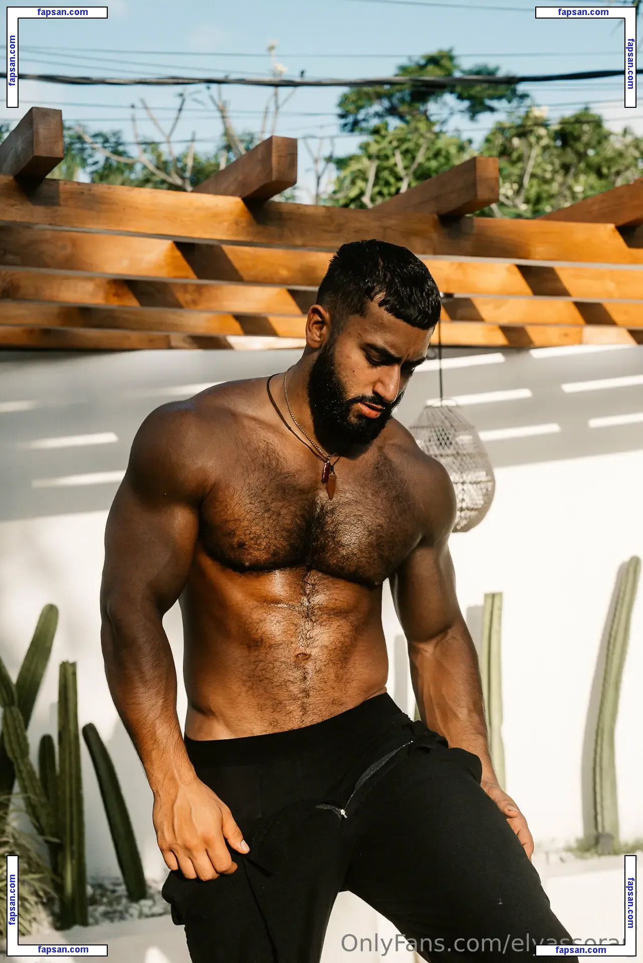 elyassorari nude photo #0032 from OnlyFans