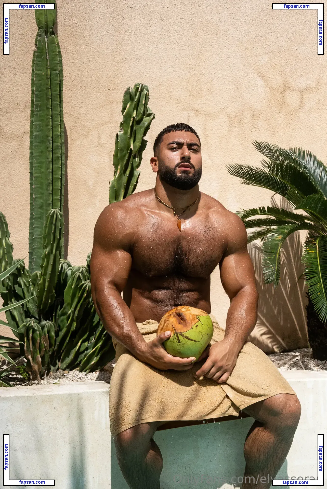 elyassorari nude photo #0043 from OnlyFans