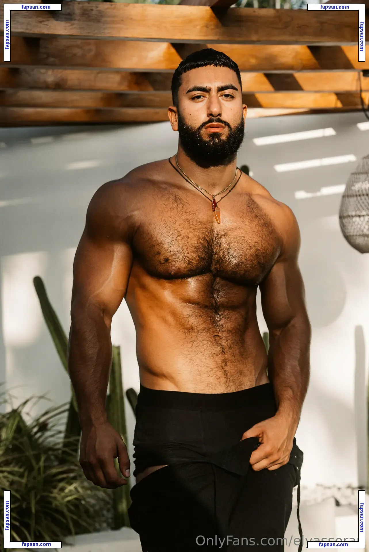 elyassorari nude photo #0046 from OnlyFans