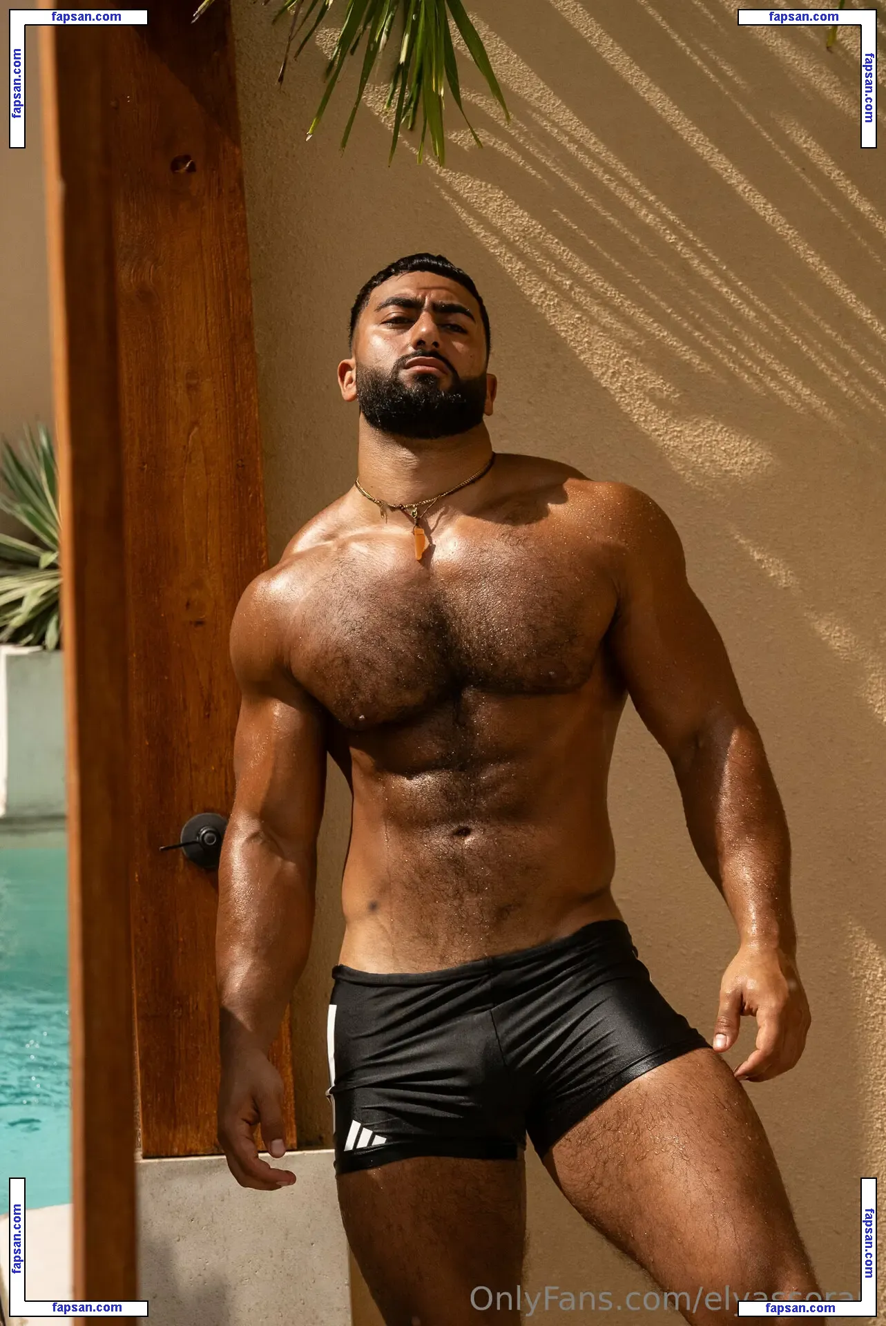 elyassorari nude photo #0048 from OnlyFans