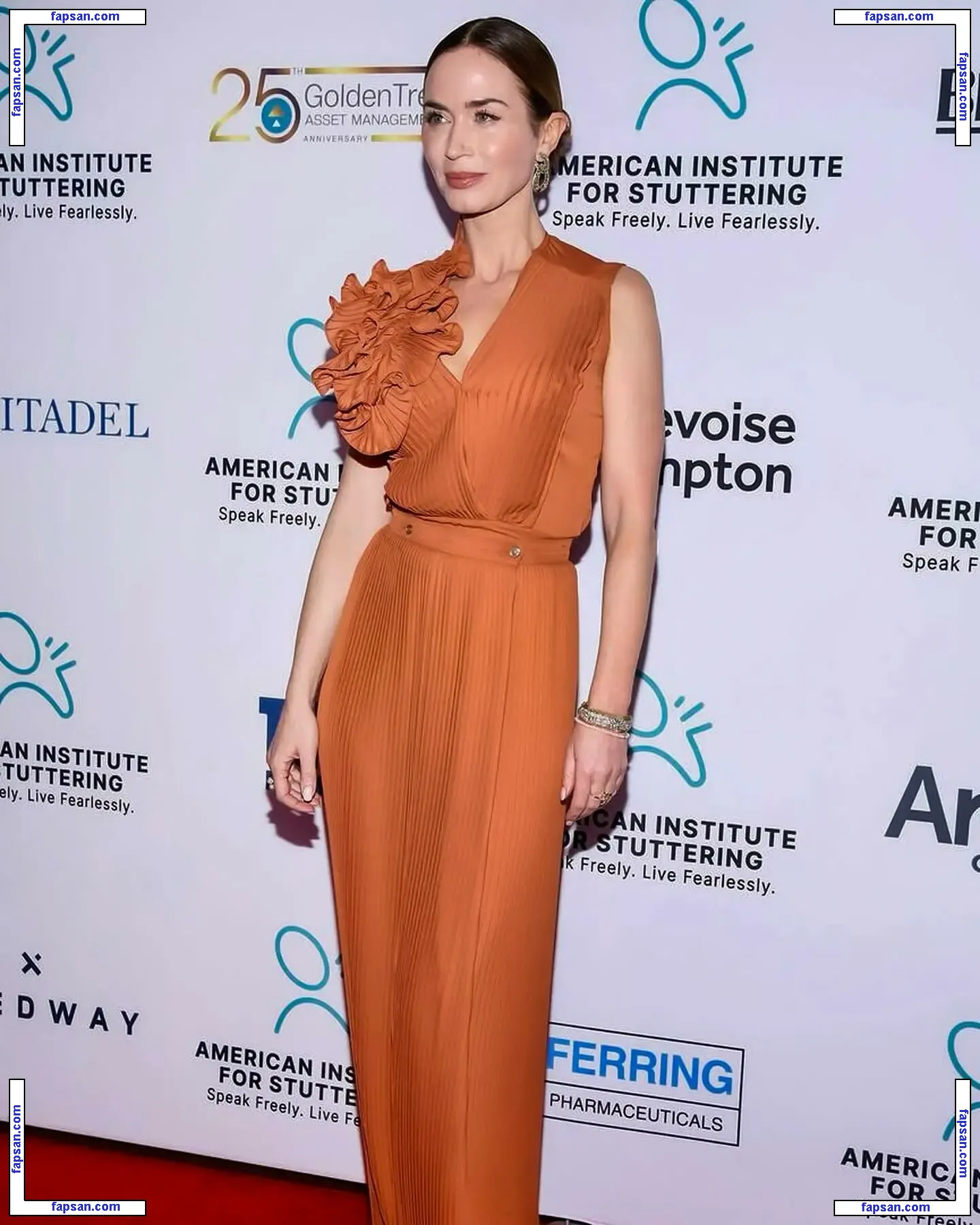 Emily Blunt голая фото #0424 с Онлифанс