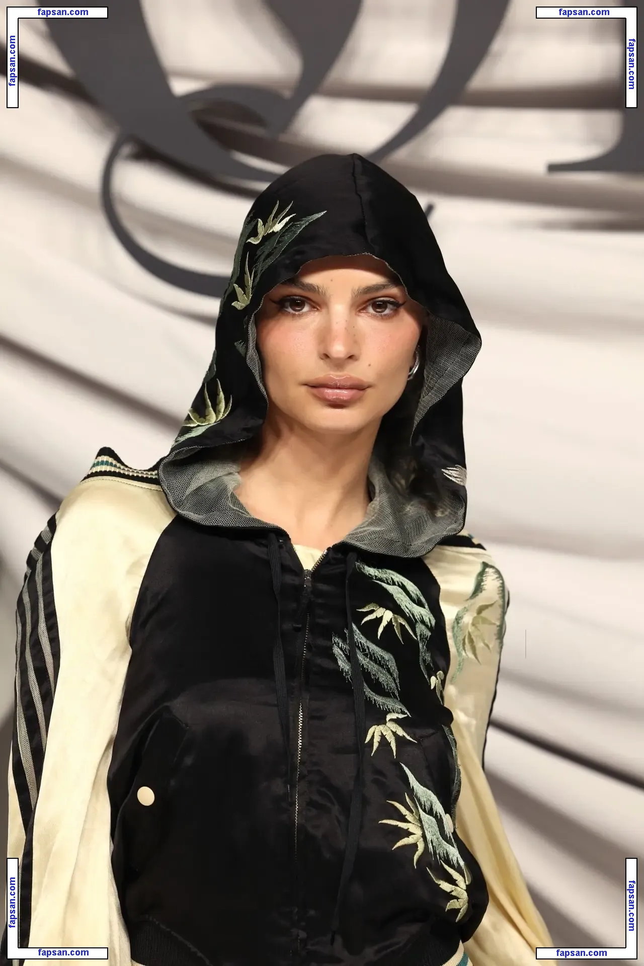 Emily Ratajkowski nude photo #16170 from OnlyFans