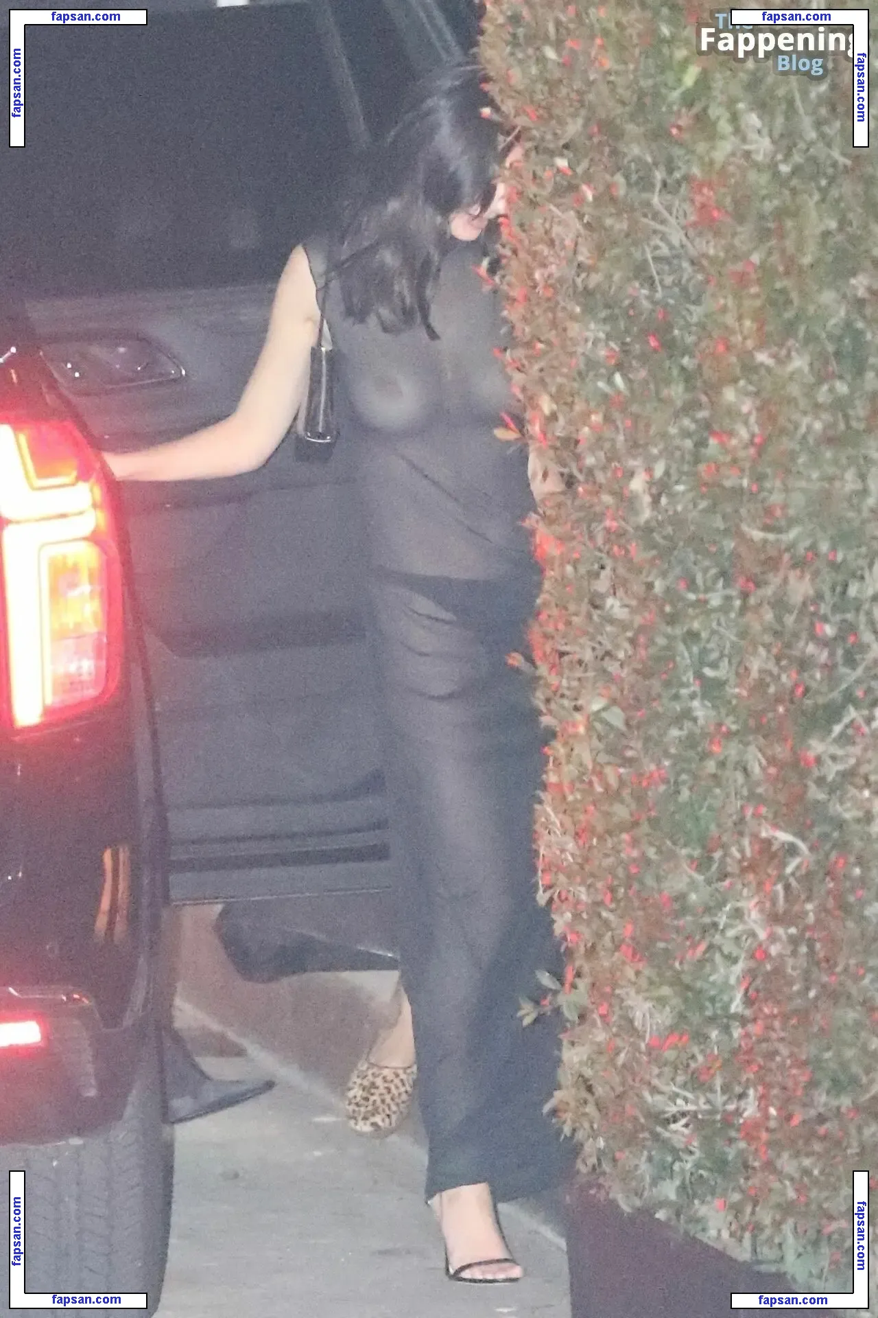 Emily Ratajkowski nude photo #17257 from OnlyFans