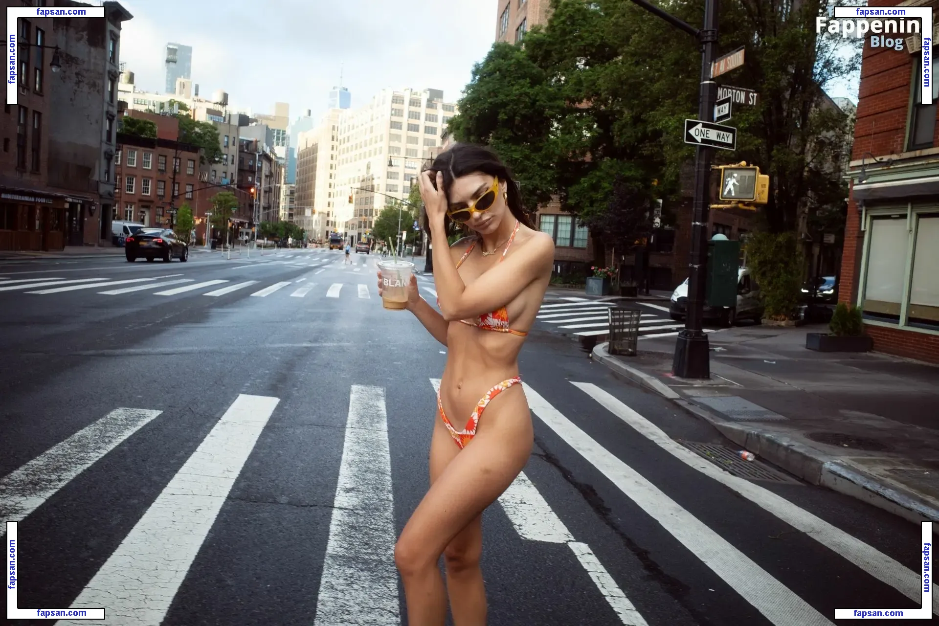 Emily Ratajkowski nude photo #18002 from OnlyFans