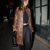 Emily Ratajkowski nude #19385