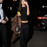 Emily Ratajkowski nude #19395