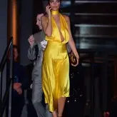 Emily Ratajkowski голая #5604