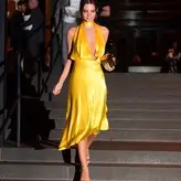 Emily Ratajkowski голая #5611