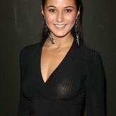 Emmanuelle Chriqui nude #0136