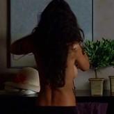 Emmanuelle Chriqui nude #0253