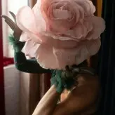 Erica Schroeder голая #0004