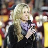 Erin Andrews голая #0146