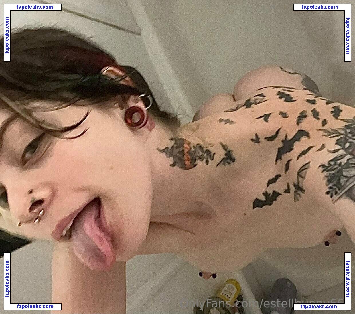 estellbunny666 / smilesbunny666 nude photo #0045 from OnlyFans