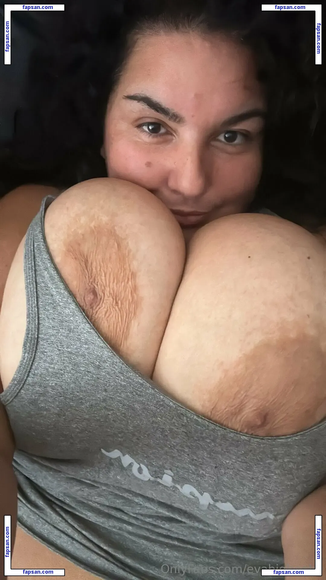 Evabigboobs nude photo #0010 from OnlyFans