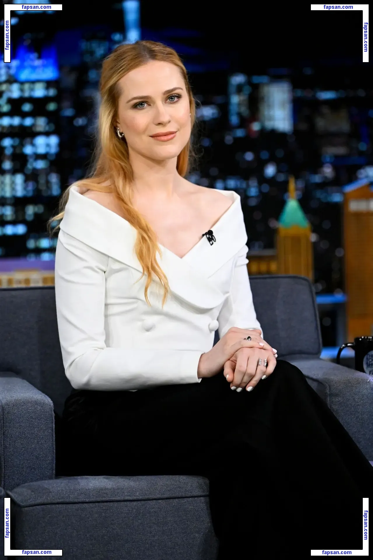 Evan Rachel Wood / evanrachelwood голая фото #0236 с Онлифанс