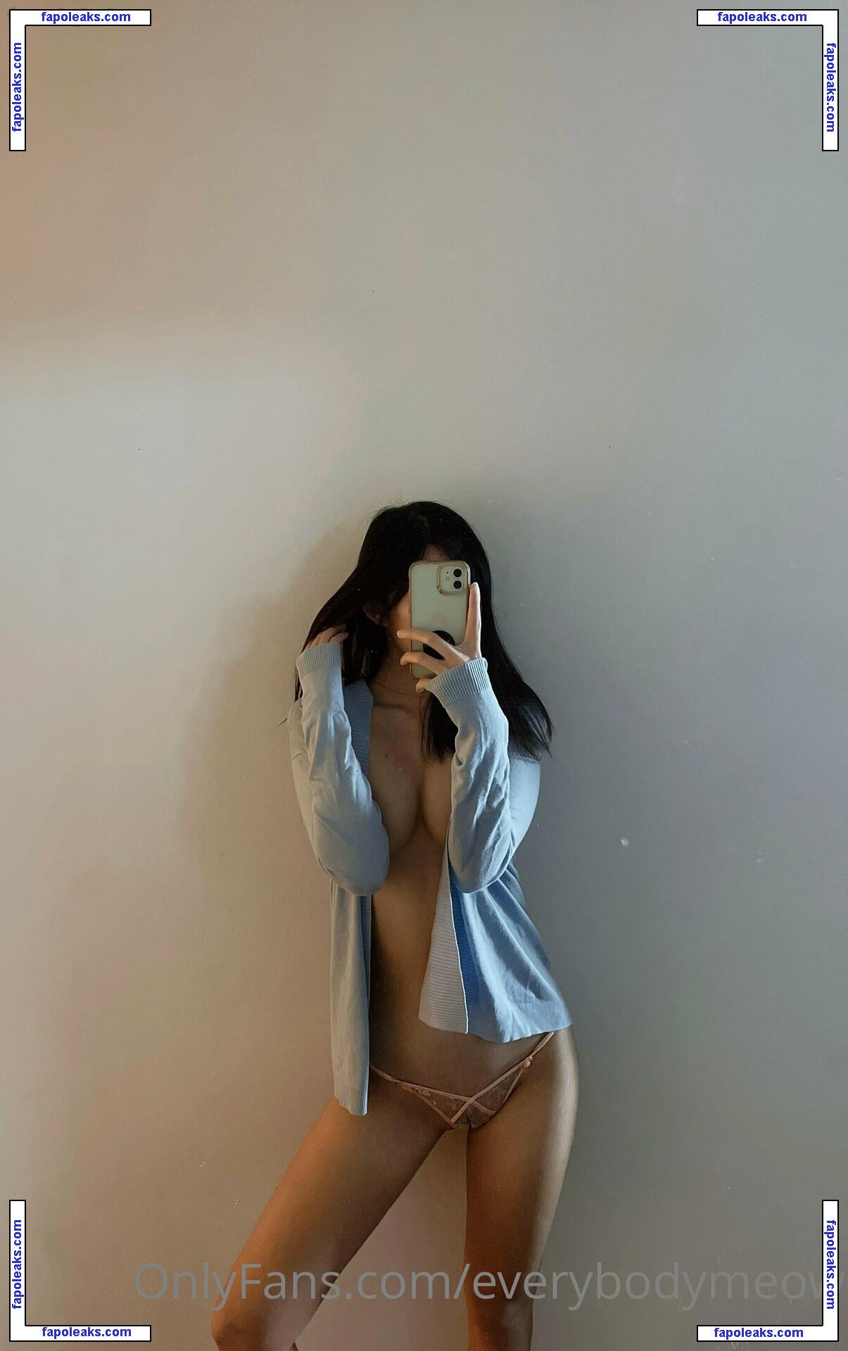 everybodymeow / lordbowserthecat nude photo #0003 from OnlyFans