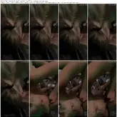 Evie Erikson + Ellie Erikson nude #0055