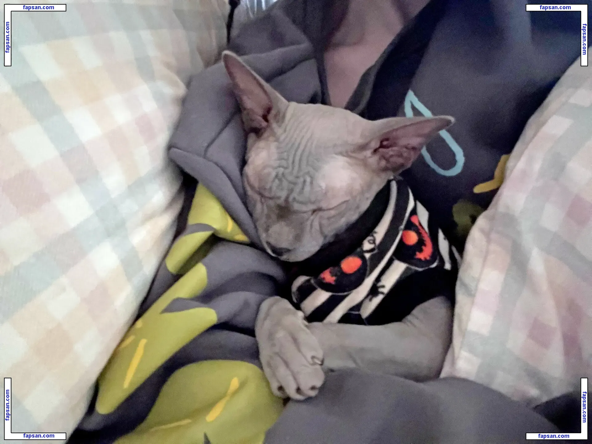 Fallenshadow голая фото #0007 с Онлифанс