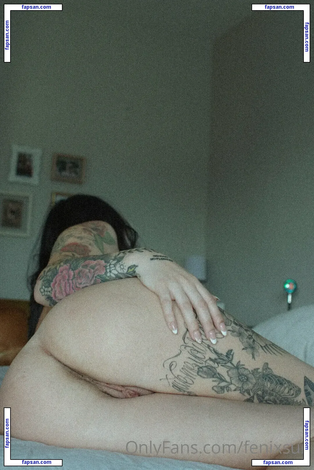 Fenix Sun nude photo #0032 from OnlyFans