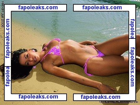 Fernanda Brandao голая фото #0084 с Онлифанс