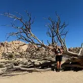 Fernanda Lira nude #0001