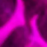 find_out_18 голая #0034