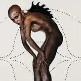 FKA twigs голая #0458