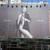FKA twigs голая #0466